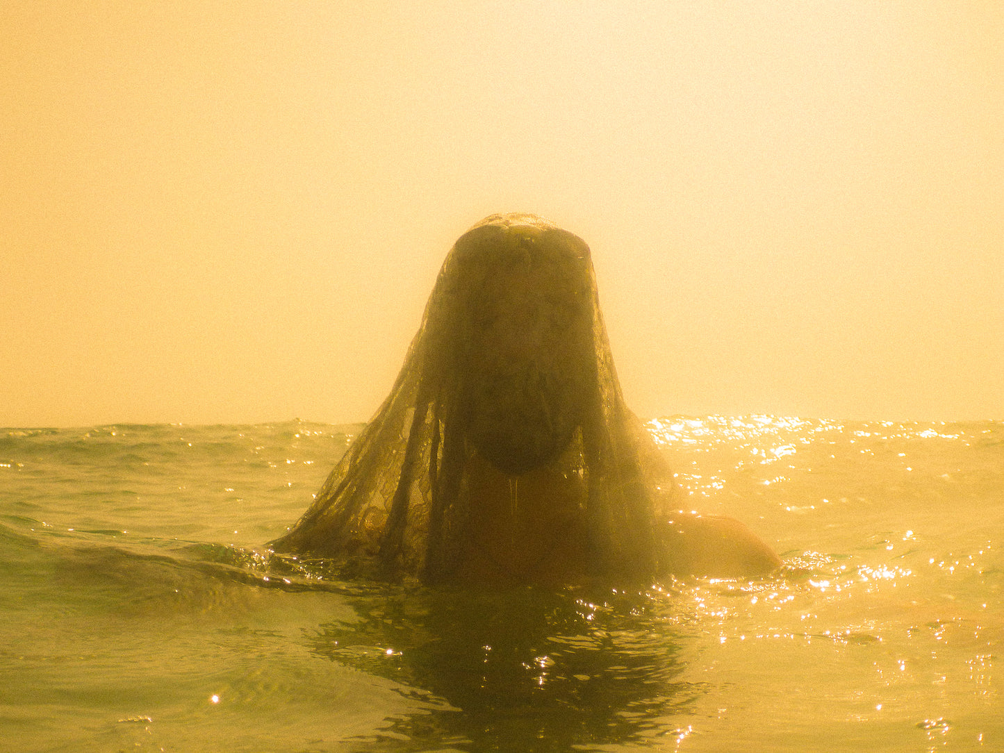 Floater II - Georges Matar