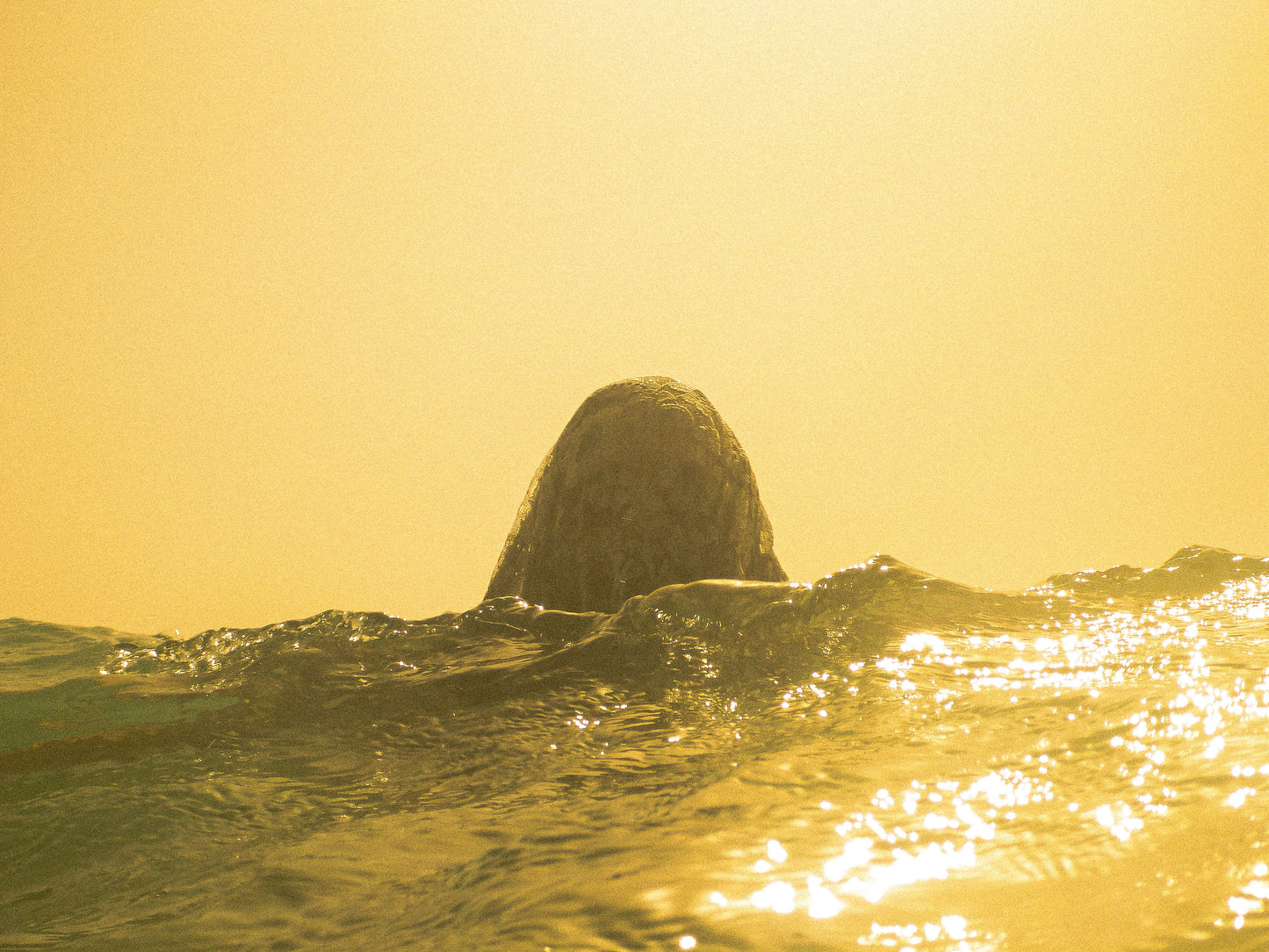 Floater I - Georges Matar