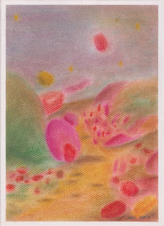 atmospheric debris - Carel Marso